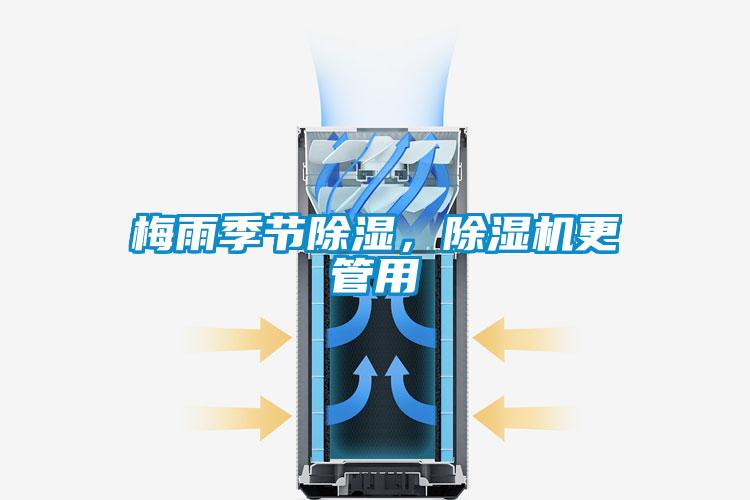 潮濕危害木地板 請(qǐng)用除濕機(jī)防范