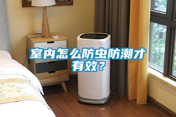 室內(nèi)怎么防蟲(chóng)防潮才有效?
