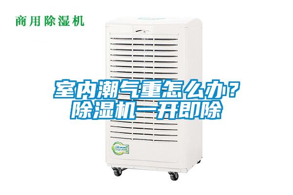 室內(nèi)潮氣重怎么辦?除濕機(jī)一開即除