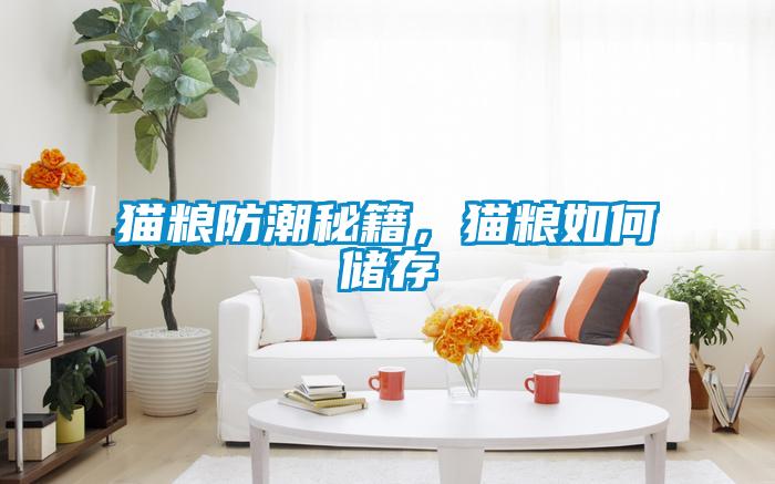 貓糧防潮秘籍，貓糧如何儲存