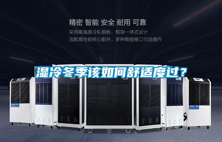 濕冷冬季該如何舒適度過？