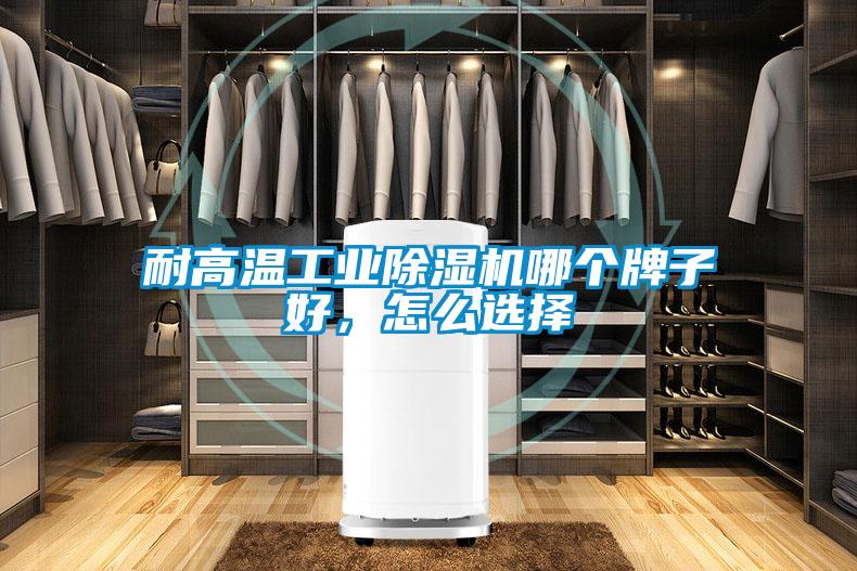 耐高溫工業(yè)除濕機哪個牌子好,怎么選擇