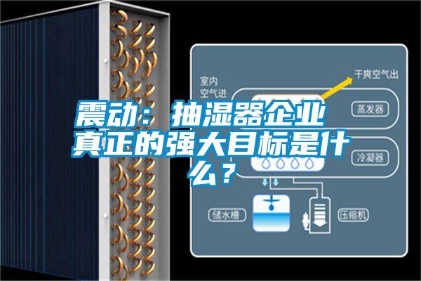 震動:抽濕器企業(yè) 真正的強大目標是什么?