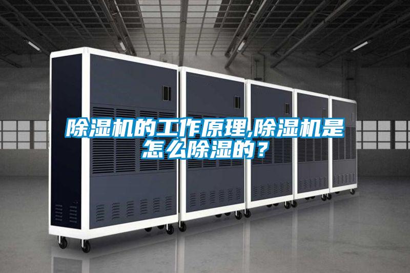 除濕機的工作原理,除濕機是怎么除濕的？