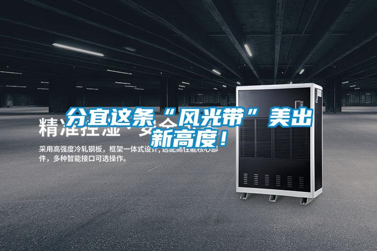 分宜這條“風光帶”美出新高度！